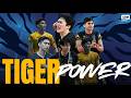 Best of UST Golden Spikers’ GROWLING CAMPAIGN 🐯🥉| UAAP SEASON 88 MEN’S VOLLEYBALL TOURNAMENT