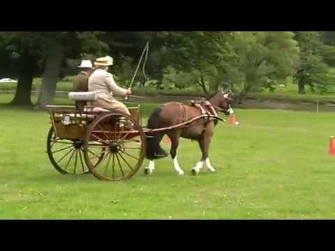 Rosemary Neale drives cones at Helmingham Hall Concours d'Attelage