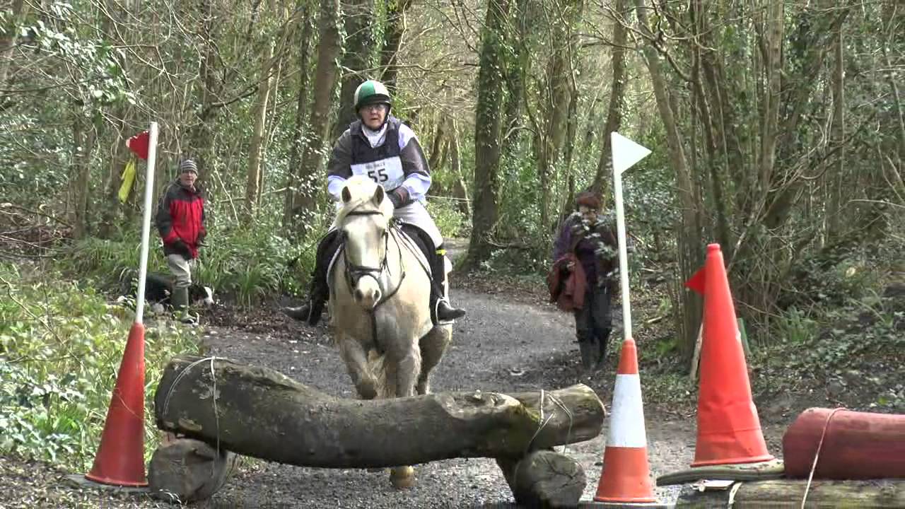 2014 Hunter Trials (Flowerhill) YouTube