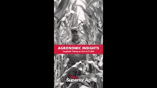 Fungicide Timing on Corn | Superior Ag Agronomic Insights 6.27.2024
