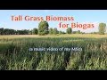 Understanding Biogas from Tall Grass