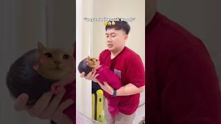 Download Lagu DAY 1 JADI BAPAK BAPAK‼️🤣🤣 MP3