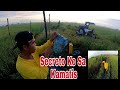 vlog#243 SECRETO NG AKING TANIM MA KAMATIS