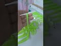 Силиконовые приманки. Щука. Судак. Окунь. Приманки. Приманка. Приманки на щуку. Приманки на окуня.