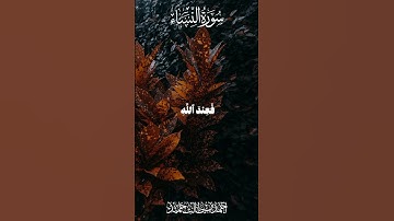 تلاوة خاشعة|| القارئ /أحمد بن طالب #قران_كريم #قرآن #المنشاوي #أحمد_بن_طالب #راحة_نفسية