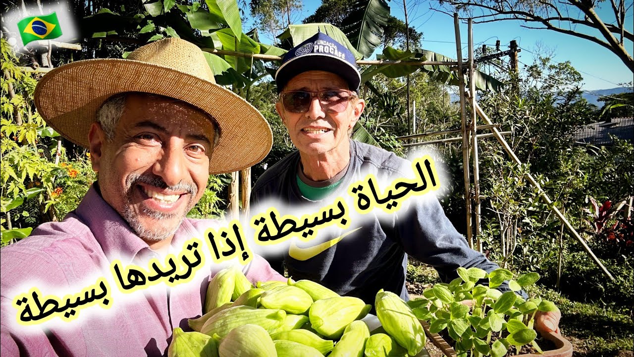 زيارة مزارع و مربي نحل برازيلي