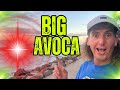 BIG WINTER SWELLS HIT THE POINT!!