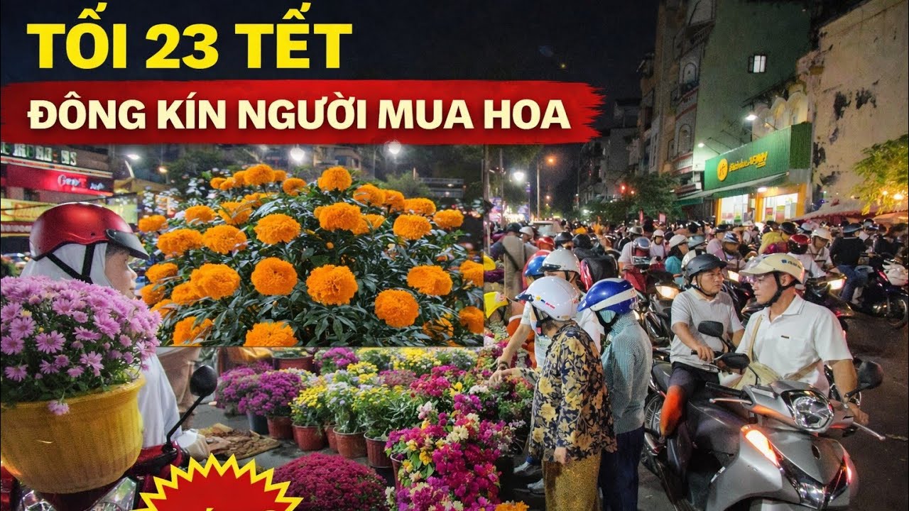 Cúc Thọ, Cúc Kim Cương Bông Giấy Giá Rẻ Bán Chạy Tối 23 Tết Ông Táo Chợ Hoa Bến Bình Đông