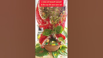 1नवंबर देवउठनी एकादशी 2025– ये 5 काम ज़रूर करें,मिलेगा धन सुख और समृद्धि!|Dev Uthani Ekadashi#shorts