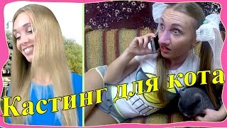 Как сняться в кино / Кастинг для кота //"КатинаВася" № 26. Вежно ТВ// Как сняться в кино / Кастинг для кота //"КатинаВася" № 26. Вежно ТВ//