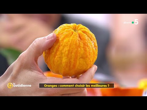 Vidéo: Comment Choisir De Bonnes Mandarines