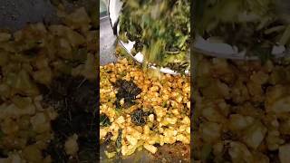 Tumis Daun Pepaya Cahyacahya7358