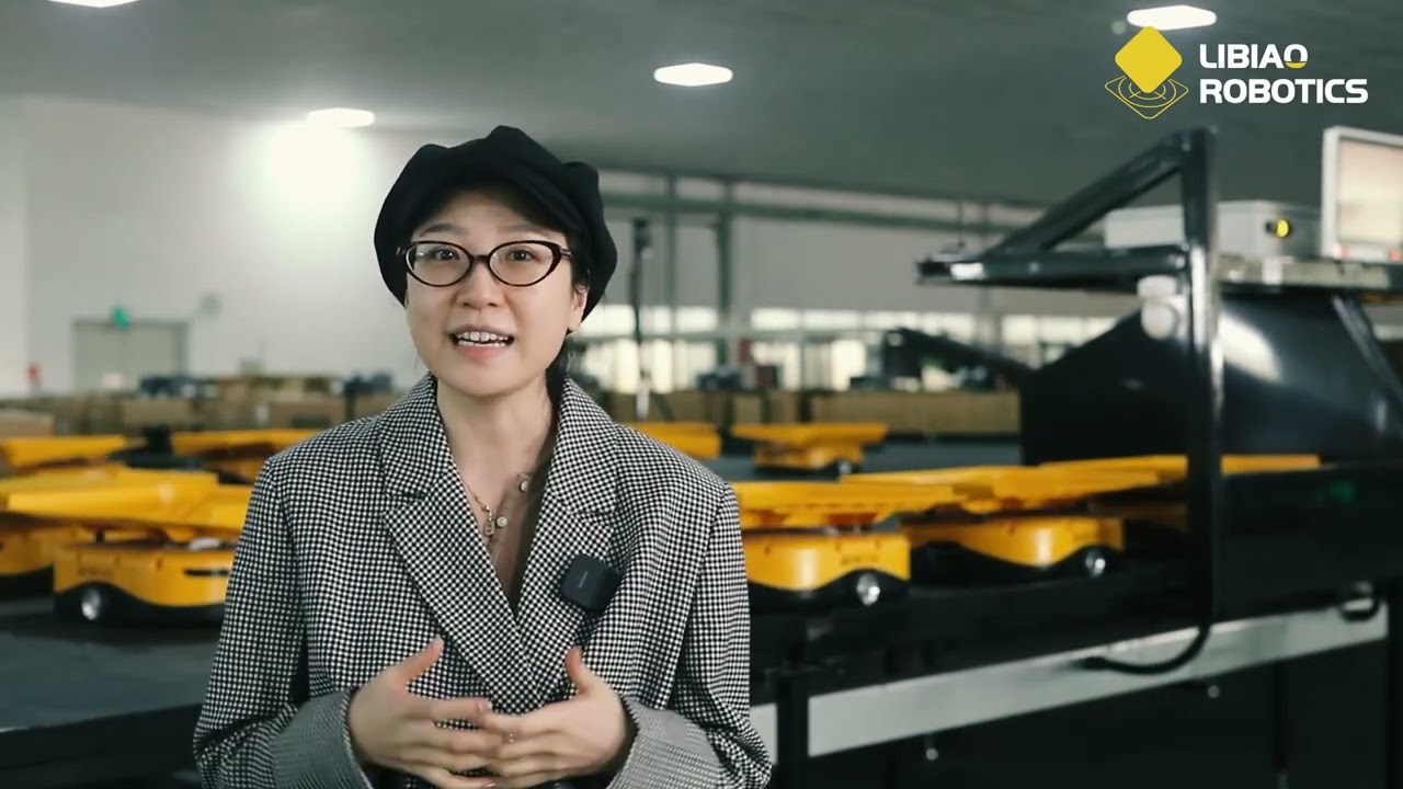 Bosideng Logistics Center Intelligent Sorting Project | Efficient Warehousing Solution