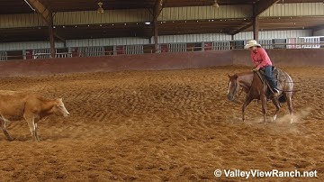 WT R U Jelous Yet - cutting/working cows - ValleyViewRanch.net