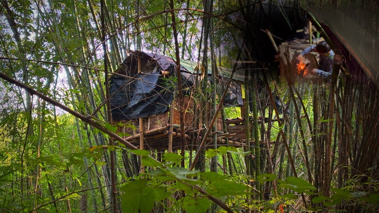 เสียงที่ไม่เคยได้ยินมาก่อน บริเวณที่พักส่องสัตว์เวลาดึก