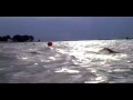 weismuller swim training video