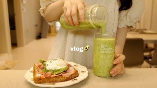 vlog | Chaotic Moment with Hoochoo🐈Unboxing, Avocado Open Toast, Studying, Nakji-bokkeum, Lunchbox