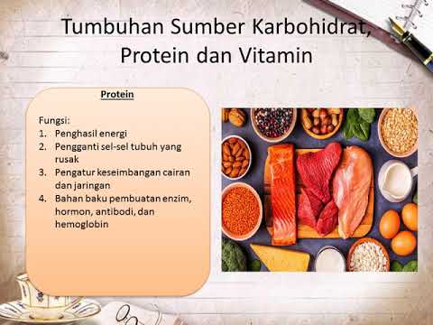 Video: Tumbuhan Sebagai Sumber Vitamin