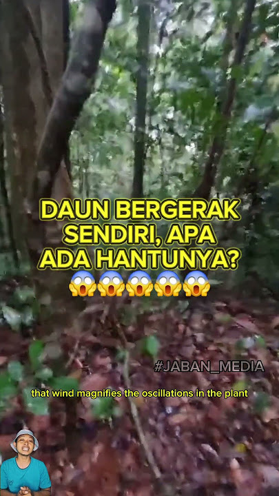 FAKTA DAUN BERGERAK SENDIRI