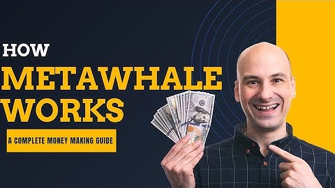 A Complete Guide On How METAWHALE Works (Earning In Dollars Made Easy💲)
