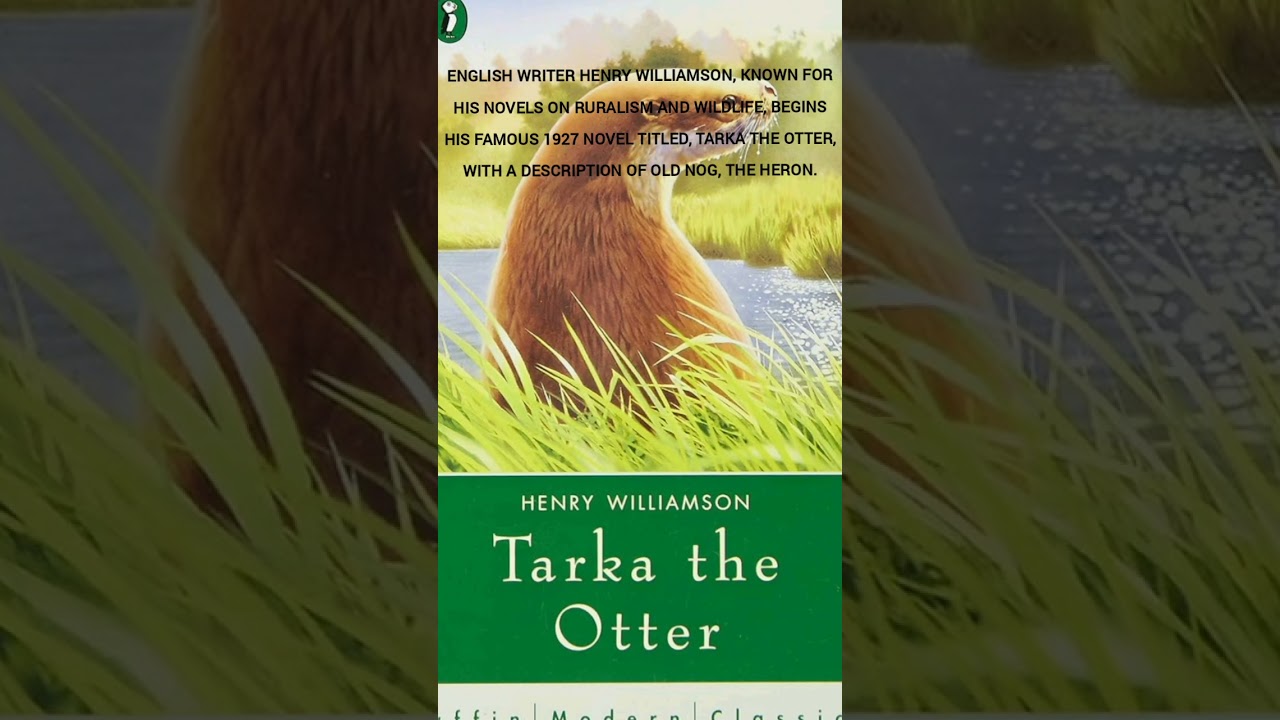 Meet the Heron - Reincarnation of the Goddess of Waters and Lakes 🥰