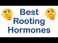 Best rooting hormones
