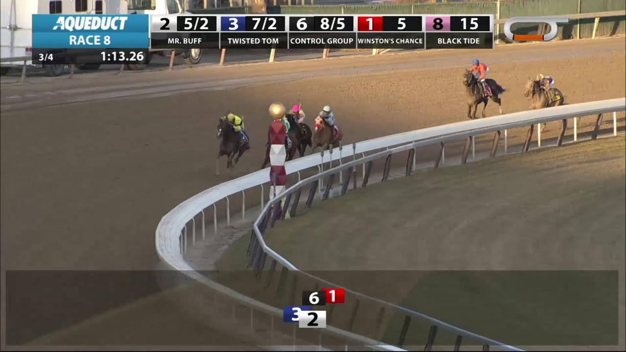 horse racing news Mr. Buff - 2018 - The Alex M. Robb Stakes