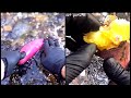 【金運アップ】アツアツでホクホクな普通の焼き芋の作り方🍠/How to make ordinary roasted sweet potatoes to improve your fortune