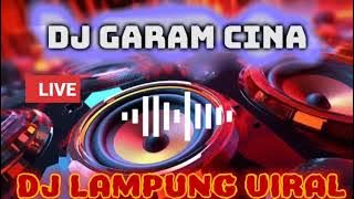 Download lagu DJ LAMPUNG VIRAL || DJ GARAM CINA || DJ VIRAL 2025 || DJ VIRAL TIKTOK || GARAM CINA LAMPUNG