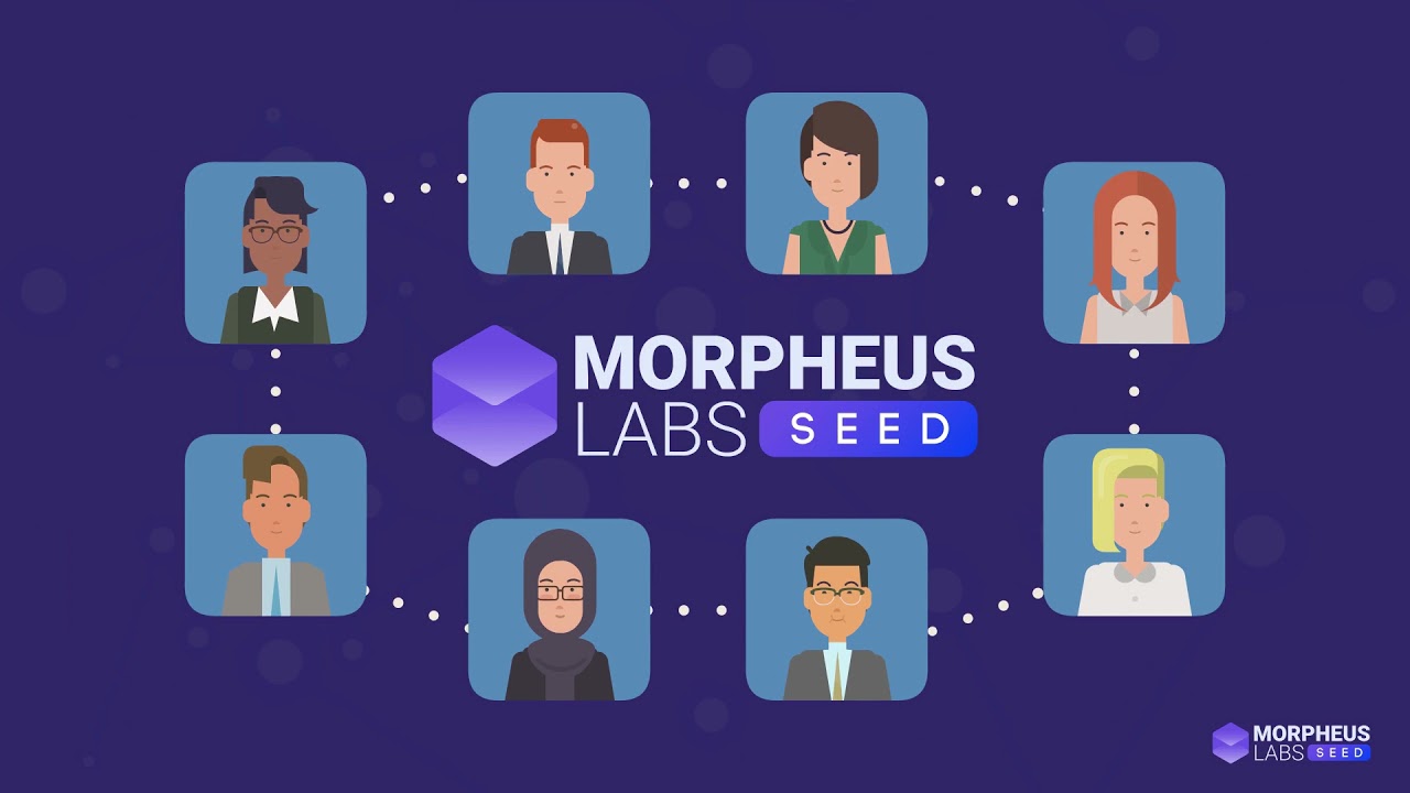Morpheus Labs SEED (MITX) - One Stop Development