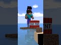 足場 #minecraft #animation
