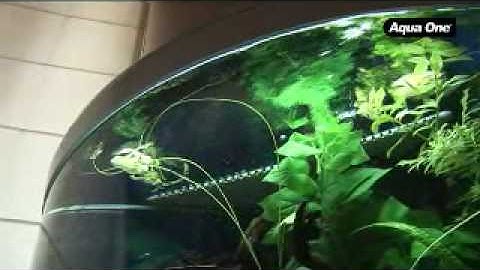 AQUA ONE AQUARIUMS - UFO 550, 700 and 880