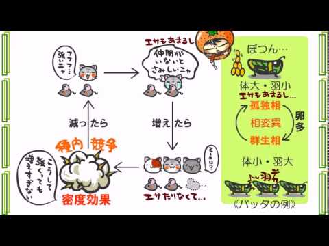新課程生物発売決定 サンプル10 生態系と反応 Youtube