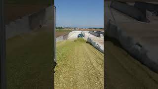 Landini 7-190 Ceroso 2017