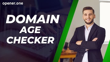 I Built a Domain Age Checker That Made Me Rich in 2025