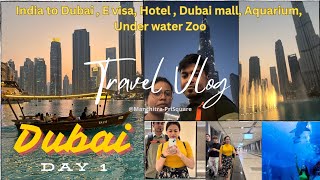 India to Dubai |Day 1| Evisa|Hotel|Fountain Show|Dubai Mall|Dubai Aquarium & UnderwaterZoo