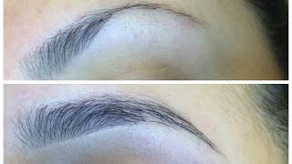 How I grew my eyebrows in 2 MONTHS! | Makeup By Leyla