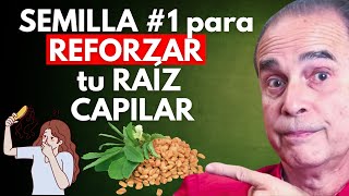 CAÍDA del CABELLO: SEMILLA #1 para REFORZAR tu RAÍZ CAPILAR (Cómo Tomarla)