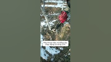 Máy khoan đục bê tông, đào gốc cây chạy động cơ xăng #automobile #farming