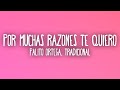 Palito Ortega - Por Muchas Razones Te Quiero (Letra/Lyrics) ft. Tradicional