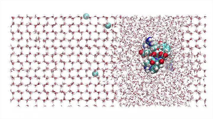 Antifreeze protein at the interface of water and Ice Water2ns