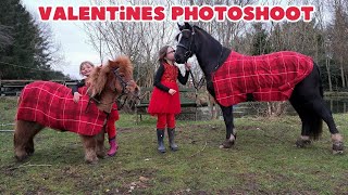 Making Adorable Valentine's Rugs for a Pony Photoshoot | Pony Fun