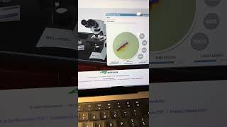 Lab2 recording: EDIT you should carry the microscope by the ARM; not the neck