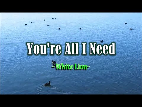 You're All I Need - White Lion (KARAOKE VERSION)