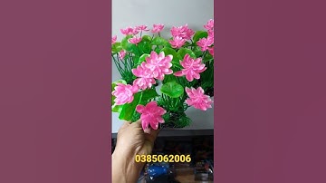 Cây sen giả trang trí hồ cá tiểu cảnh #shorts