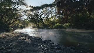 Relaxation sounds ☦️ #sleepbetter#birdsong #bettersleep #relax#rainoundforsleep#relaxationmusic