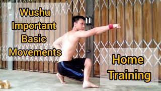 Wushu Important Basic Movements - Home Training (Beginner to Intermediate Level)
