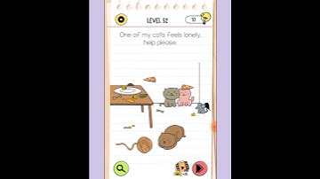 BRAIN TEST 4 #NEWLEVEL52 #One of my cats feel lonely.help please