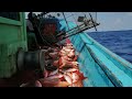 Nelayan bubu laut dalam Terengganu