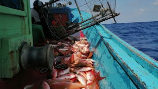 Nelayan bubu laut dalam Terengganu